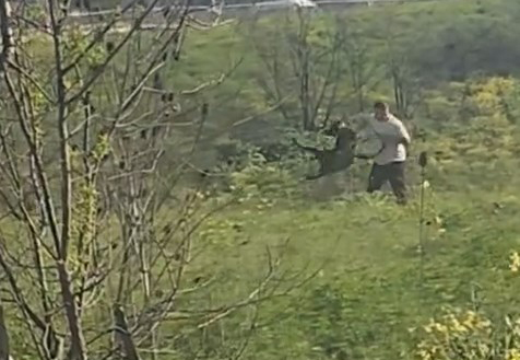 Avcılar’da köpeğine kemerli şiddet uygulayan kişi yakalandı