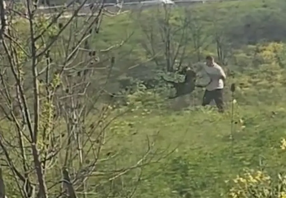 Avcılar’da köpeğine kemerli şiddet uygulayan kişi yakalandı