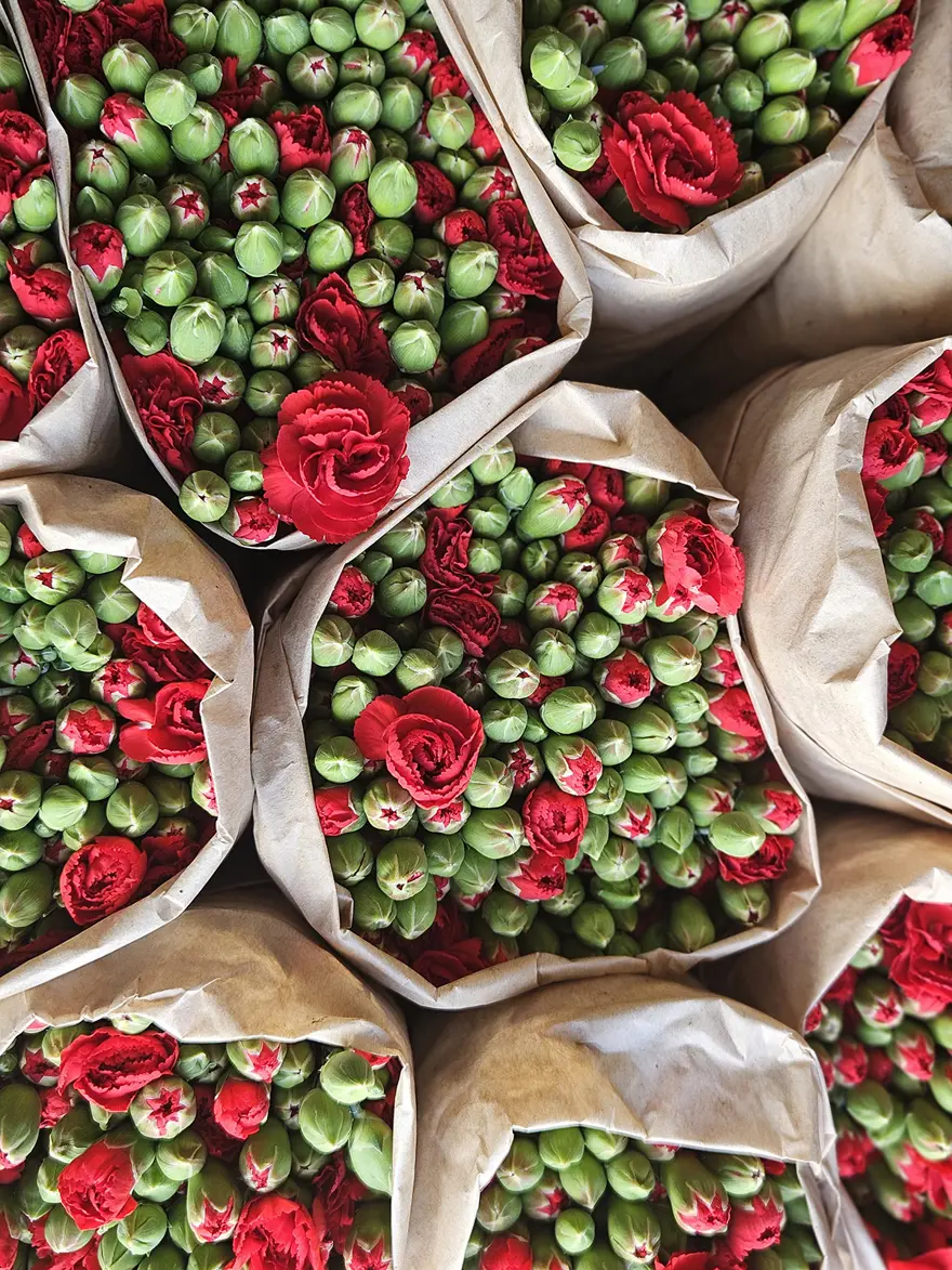 "HOLLANDA HER YIL EN ÖNEMLİ PAZARIMIZ" 3