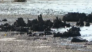 Göl suları çekilince ortaya çıktı: Uzun yıllar gizli kalmış