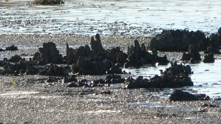Göl suları çekilince ortaya çıktı: Uzun yıllar gizli kalmış