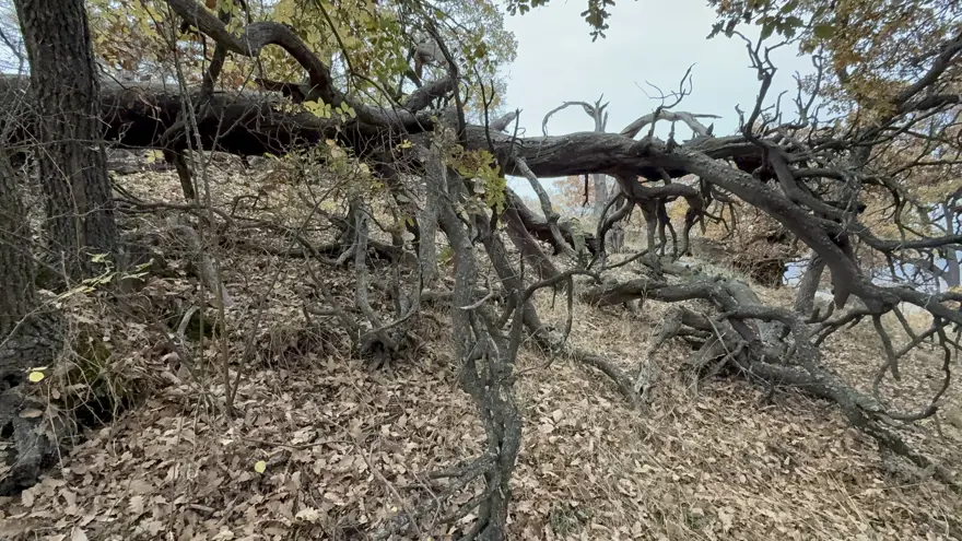 "ŞEHİTLERİN AZİZ HATIRASI YAŞATILIYOR" 1 "ŞEHİTLERİN AZİZ HATIRASI YAŞATILIYOR" 1