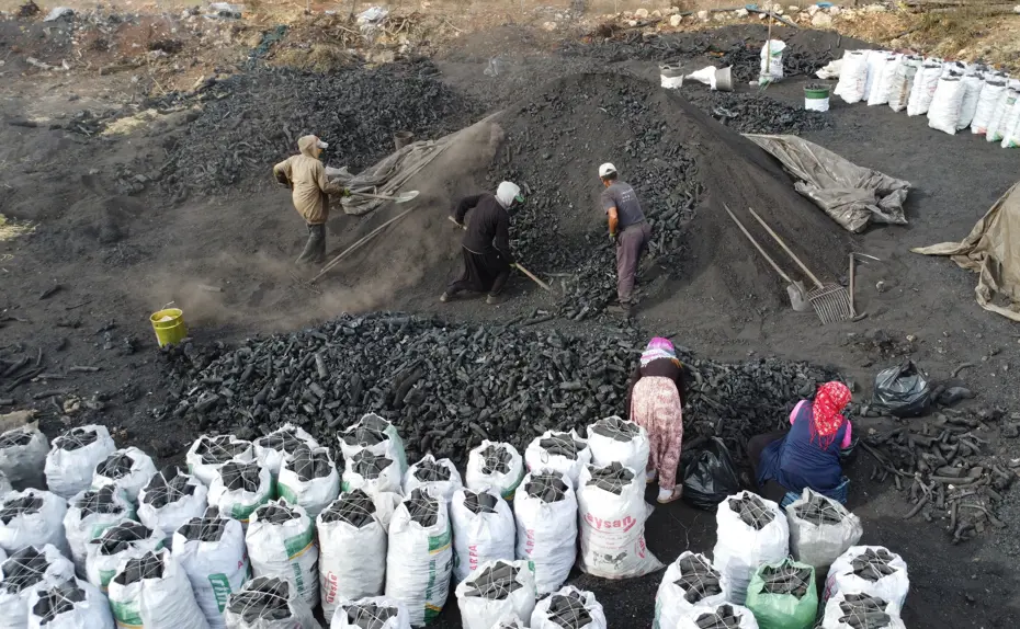 Kalabalık ailelerin gelir kapısı: ''Zahmetli ve tehlikeli bir iş''