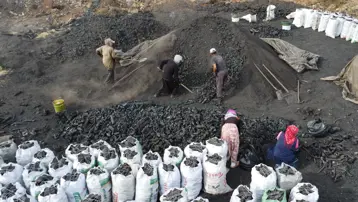 Kalabalık ailelerin gelir kapısı: ''Zahmetli ve tehlikeli bir iş''