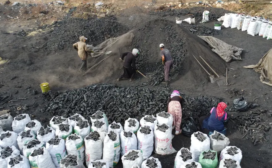 Kalabalık ailelerin gelir kapısı: ''Zahmetli ve tehlikeli bir iş'' 