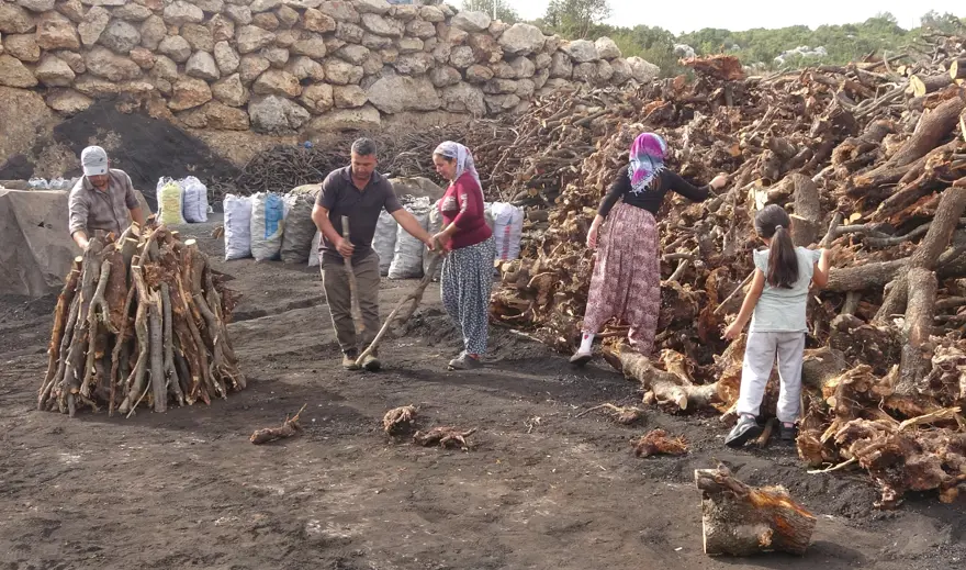 Kalabalık ailelerin gelir kapısı: ''Zahmetli ve tehlikeli bir iş'' 3