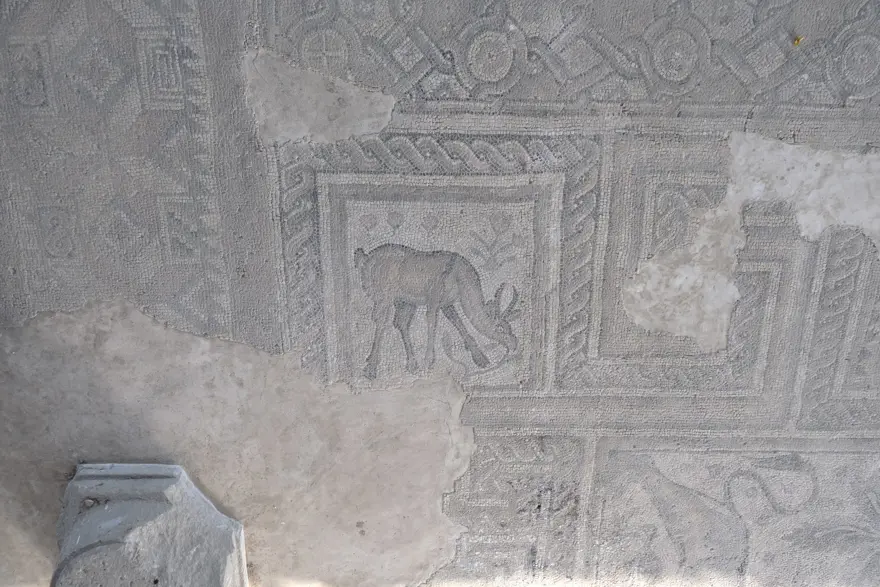 Erzincan’da Urartu Krallığı izleri 3