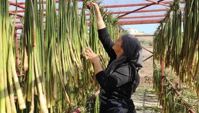 Yaz aylarında göl yüzeyinden toplanıyor: Depremzede kadınların elinde sanat eserine dönüşüyor