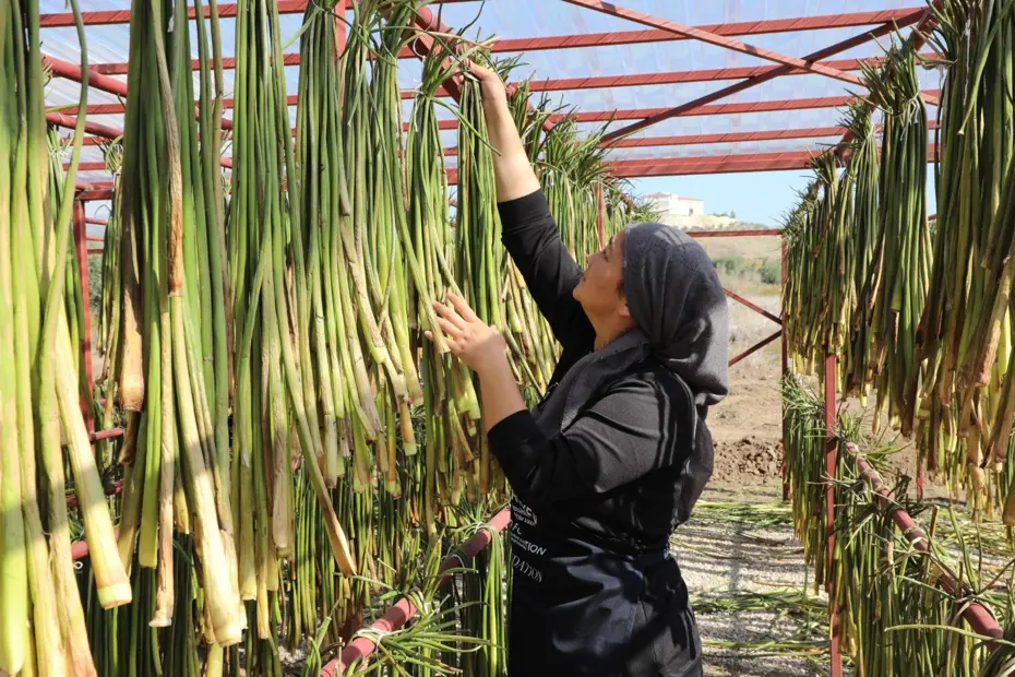 Yaz aylarında göl yüzeyinden toplanıyor: Depremzede kadınların elinde sanat eserine dönüşüyor