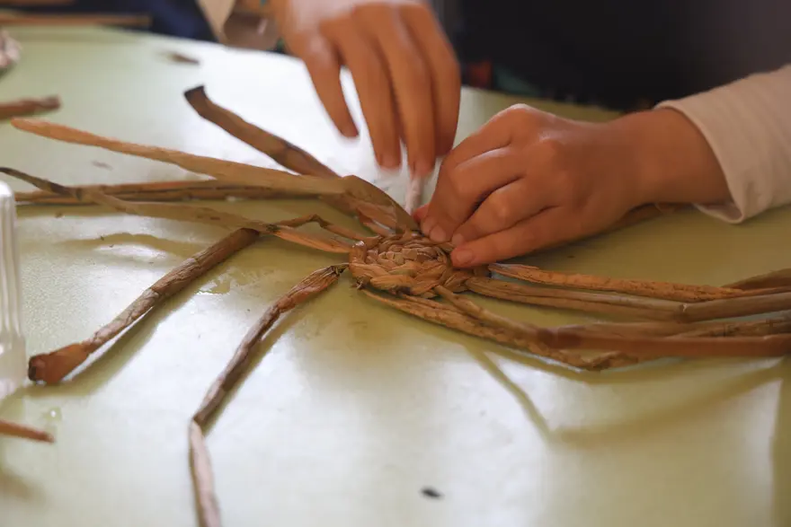 Yaz aylarında göl yüzeyinden toplanıyor: Depremzede kadınların elinde sanat eserine dönüşüyor 2