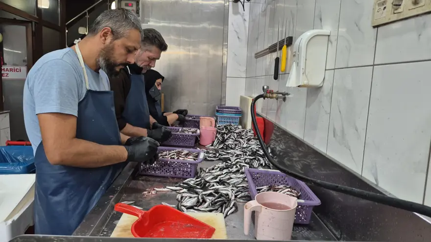 Evde hamsi pişirmenin püf noktası: 25 yıllık balıkçı sırrı açıkladı 1