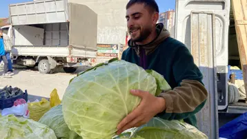 11 kiloluk devasa lahanalar ilgi gördü: Fiyatı 80 liradan başlıyor