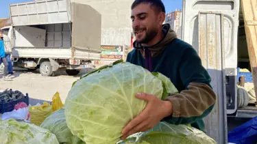 11 kiloluk devasa lahanalar ilgi gördü: Fiyatı 80 liradan başlıyor