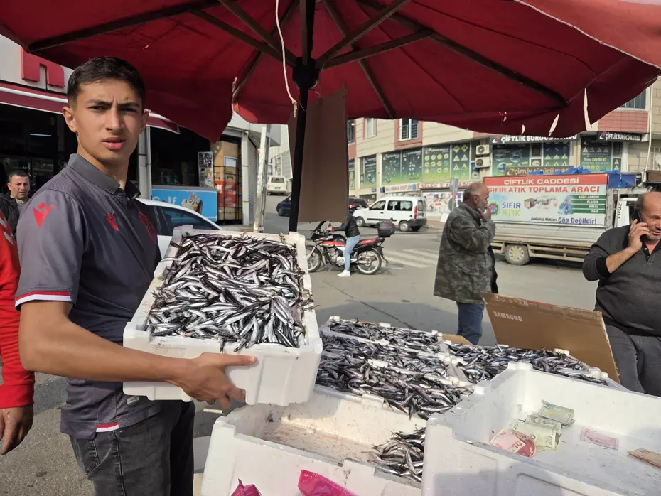 Samsunspor fanatiği balıkçı 100 liralık hamsiyi 25 TL’ye sattı