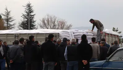 Üreticilere kırmızı mercimek tohumu desteği: 40 bin kilo teslim edildi