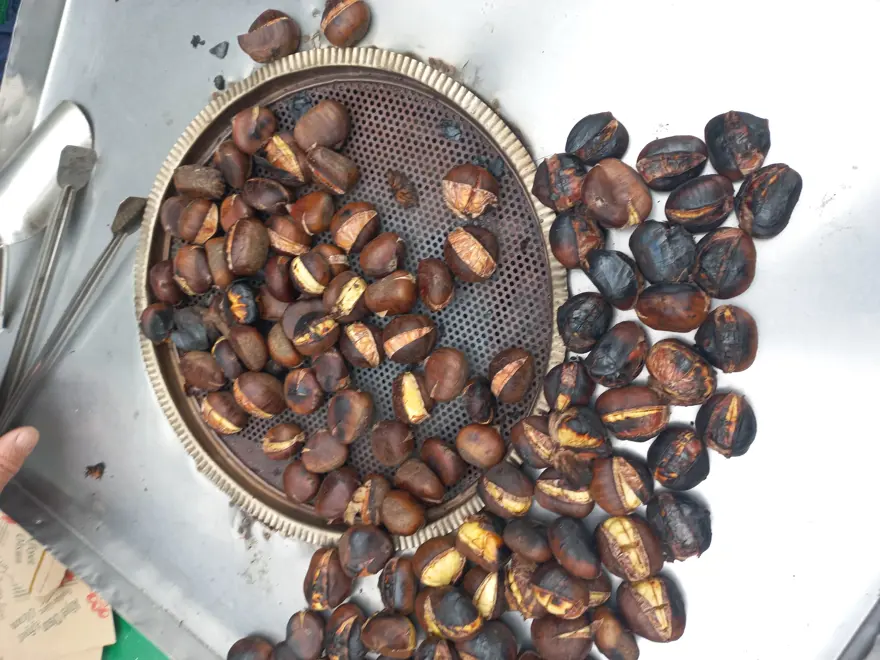 Yarım asırdır sokaklarda: 3 çocuğunu bu meslek sayesinde okuttu 2