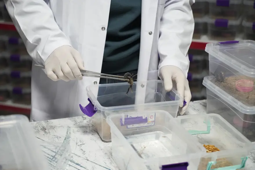 RESMİ YOLLARLA TEMİN EDİLİYOR 1