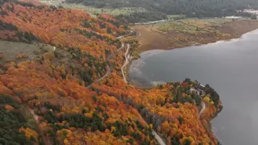 Bolu’nun doğa harikası Abant'ta ziyaretçi yoğunluğu