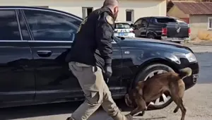 Otomobilde kilolarca uyuşturucu bulundu