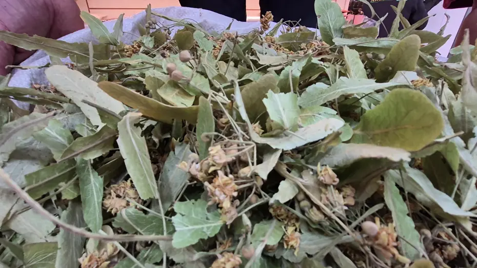 Fiyatı altında yarışıyordu, bu yıl düştü: Tezgahlarda bol bol var