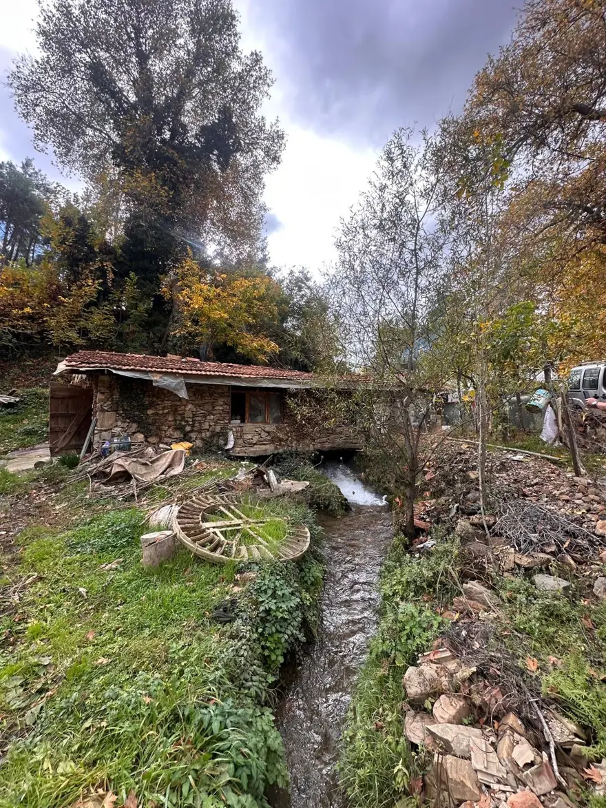 Doğal üretimin simgesi: 300 yıllık ama hala çarklarını döndürüyor 