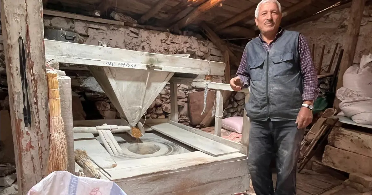 Doğal üretimin simgesi: 300 yıllık ama hala çarklarını döndürüyor