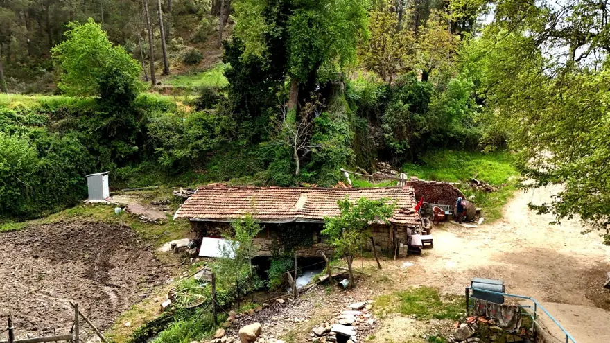 Doğal üretimin simgesi: 300 yıllık ama hala çarklarını döndürüyor 1