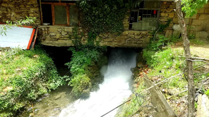 Doğal üretimin simgesi: 300 yıllık ama hala çarklarını döndürüyor 2