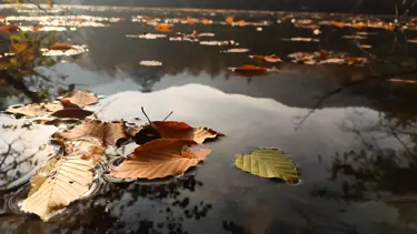 Yedigöller Milli Parkı ziyaretçi akınına uğradı