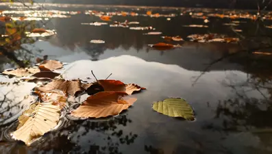 Yedigöller Milli Parkı ziyaretçi akınına uğradı