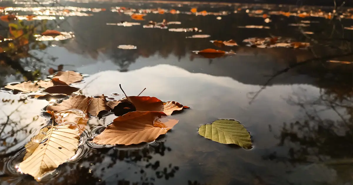 Yedigöller Milli Parkı ziyaretçi akınına uğradı