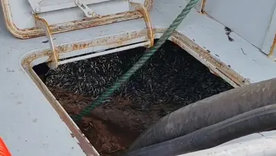 Gece boyunca avladılar: Bolluk yaşandı