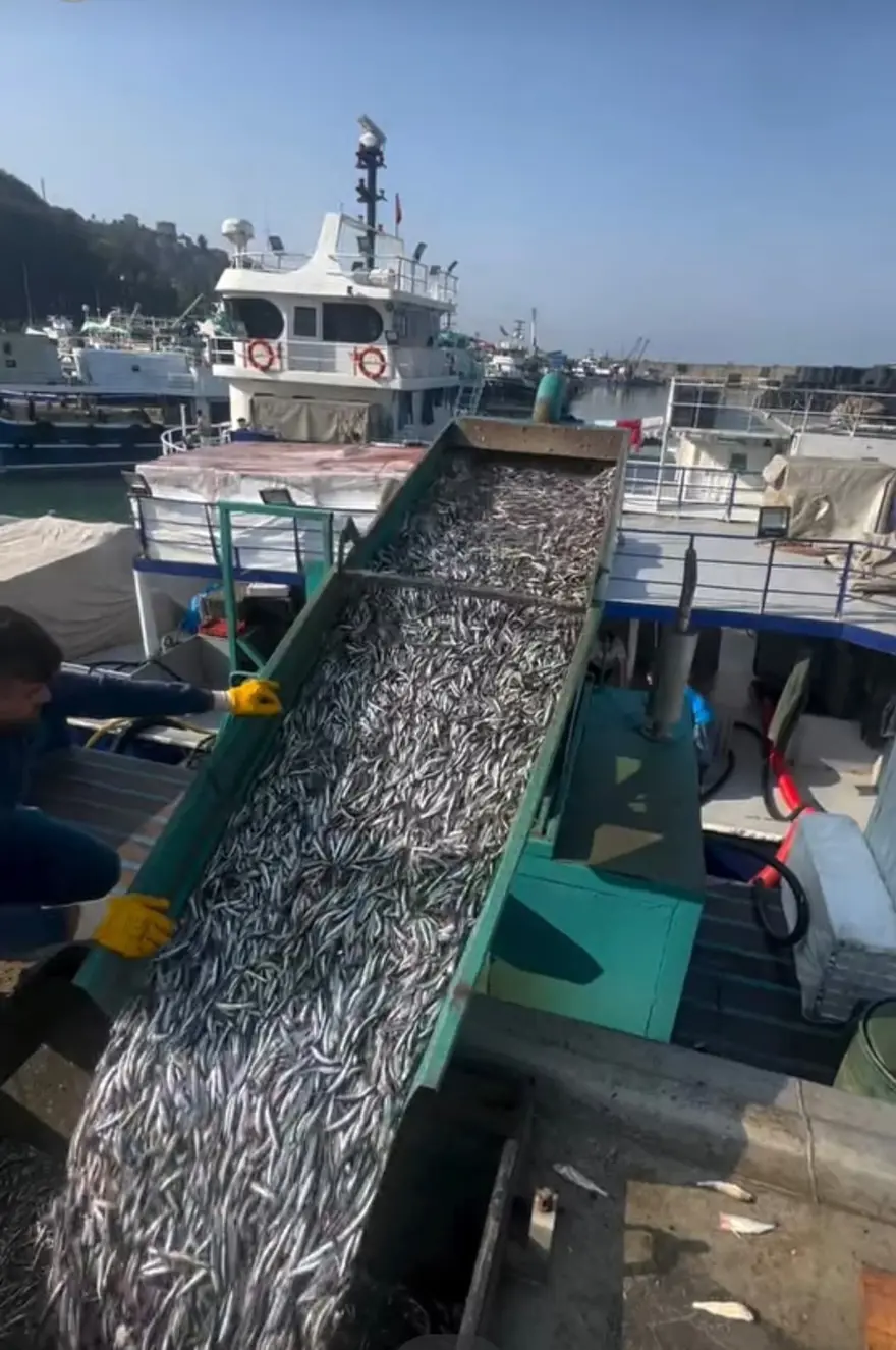 Gece boyunca avladılar: Bolluk yaşandı 3