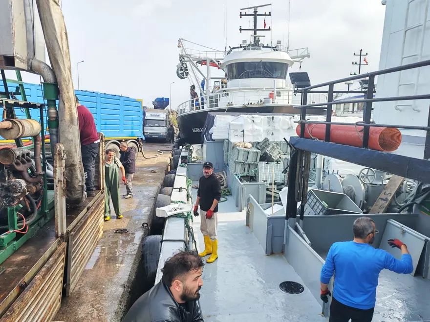 Gece boyunca avladılar: Bolluk yaşandı 