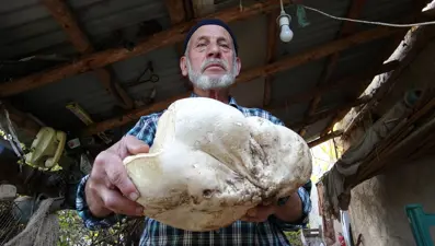 70 yaşındaki adam ormanda buldu: 3 kilo 114 gram geldi
