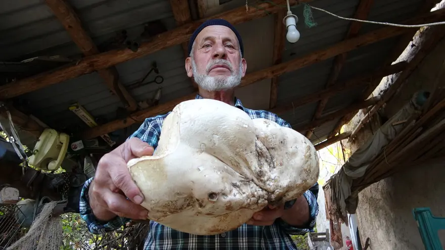 70 yaşındaki adam ormanda buldu: 3 kilo 114 gram geldi 3