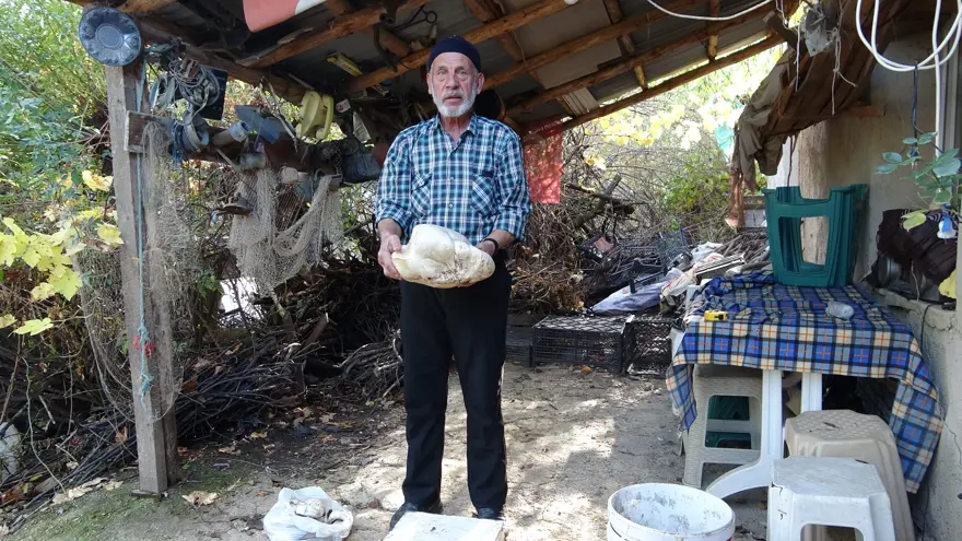 70 yaşındaki adam ormanda buldu: 3 kilo 114 gram geldi 