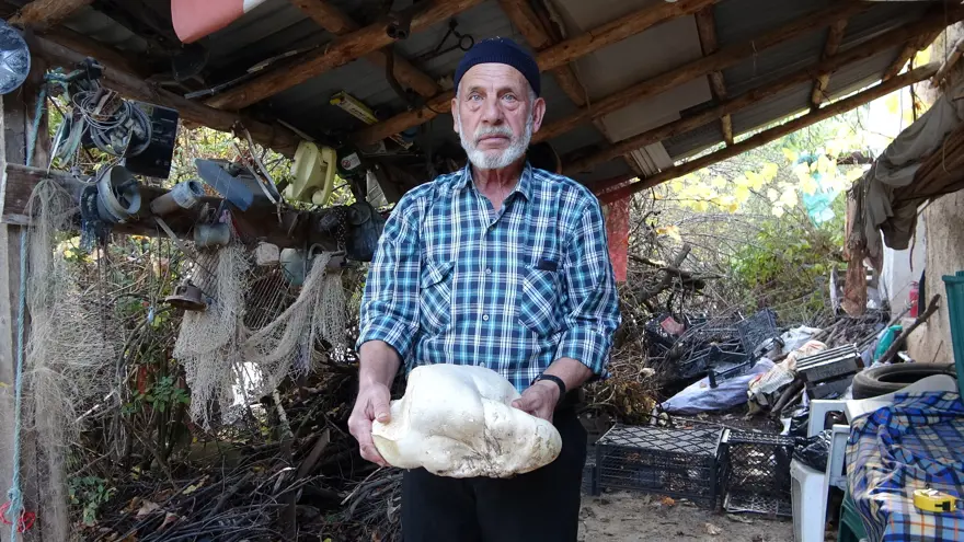 70 yaşındaki adam ormanda buldu: 3 kilo 114 gram geldi 1