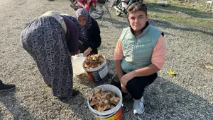 Dağ, tepe dolaşıp tek tek topluyor: Okul harçlığını "kanlıca"dan çıkarıyor