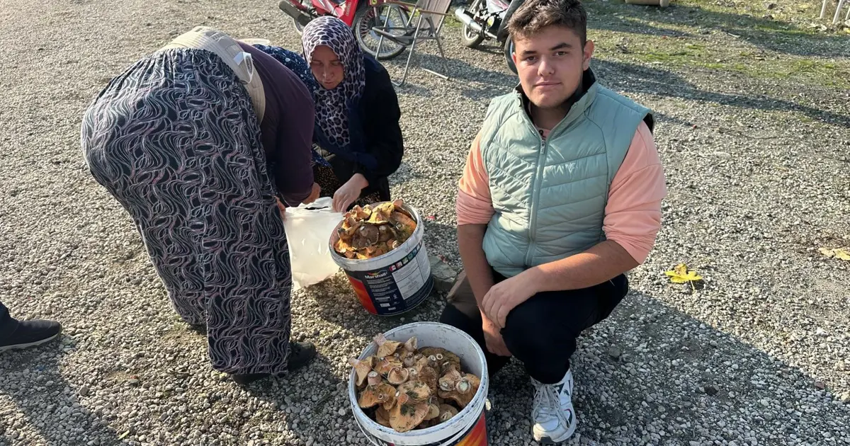 Dağ, tepe dolaşıp tek tek topluyor: Okul harçlığını "kanlıca"dan çıkarıyor