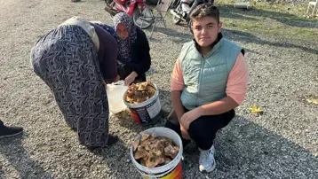 Dağ, tepe dolaşıp tek tek topluyor: Okul harçlığını "kanlıca"dan çıkarıyor