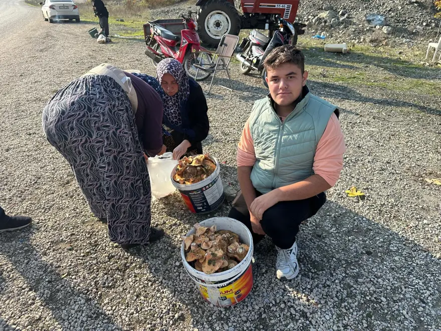 Dağ, tepe dolaşıp tek tek topluyor: Okul harçlığını "kanlıca"dan çıkarıyor Dağ, tepe dolaşıp tek tek topluyor: Okul harçlığını "kanlıca"dan çıkarıyor