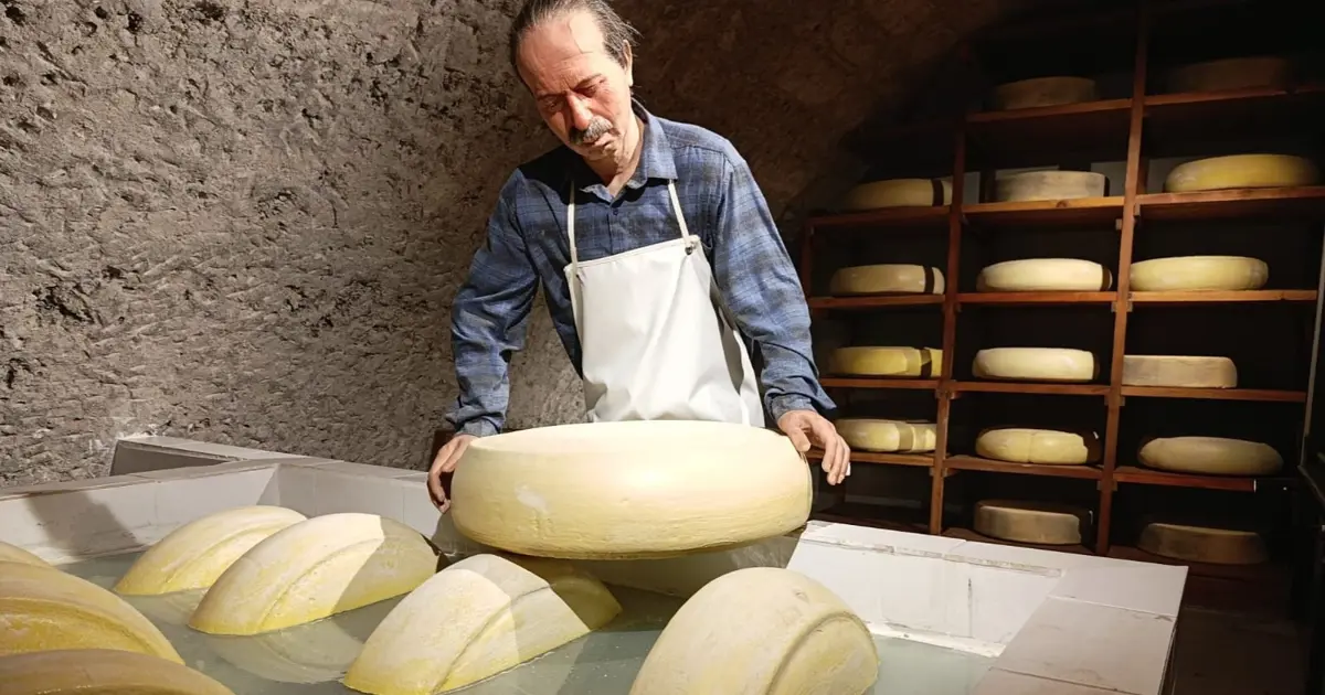 Kars Peynir Müzesi'ne yoğun ilgi: "Görülmesi gereken bir yer"