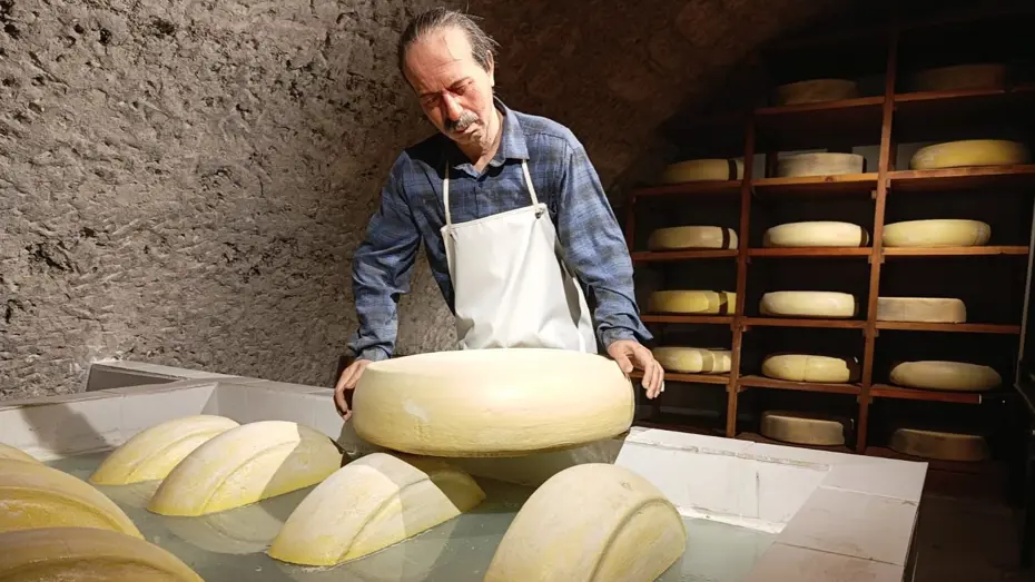 Kars Peynir Müzesi'ne yoğun ilgi: 