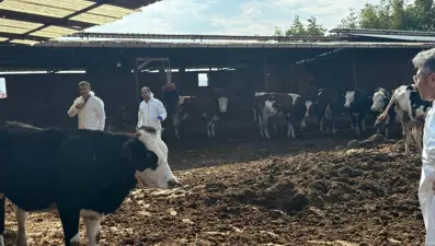 Denizli’de şap hastalığına karşı tedbirler arttırıldı