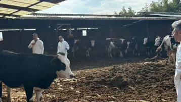 Denizli’de şap hastalığına karşı tedbirler arttırıldı