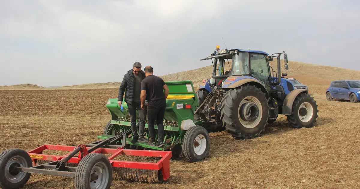 5 farklı ekmeklik buğday toprakla buluşturuldu