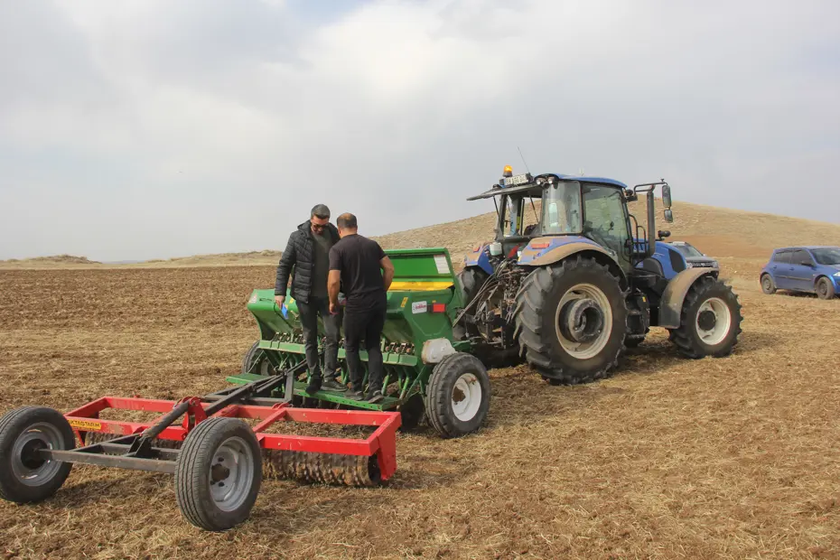 5 farklı ekmeklik buğday toprakla buluşturuldu