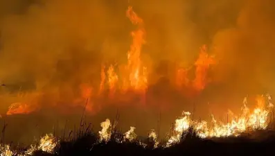 Yüksekova'da kuş cennetinde yangın: Yerleşim yerlerini tehdit ediyor