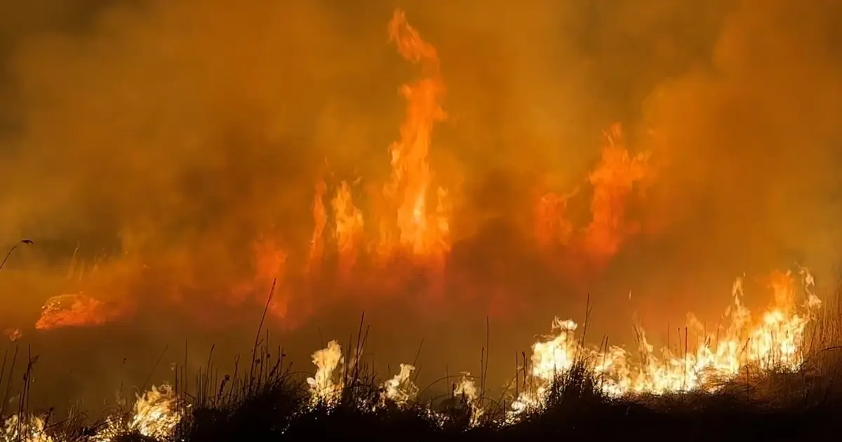 Yüksekova'da kuş cennetinde yangın: Yerleşim yerlerini tehdit ediyor